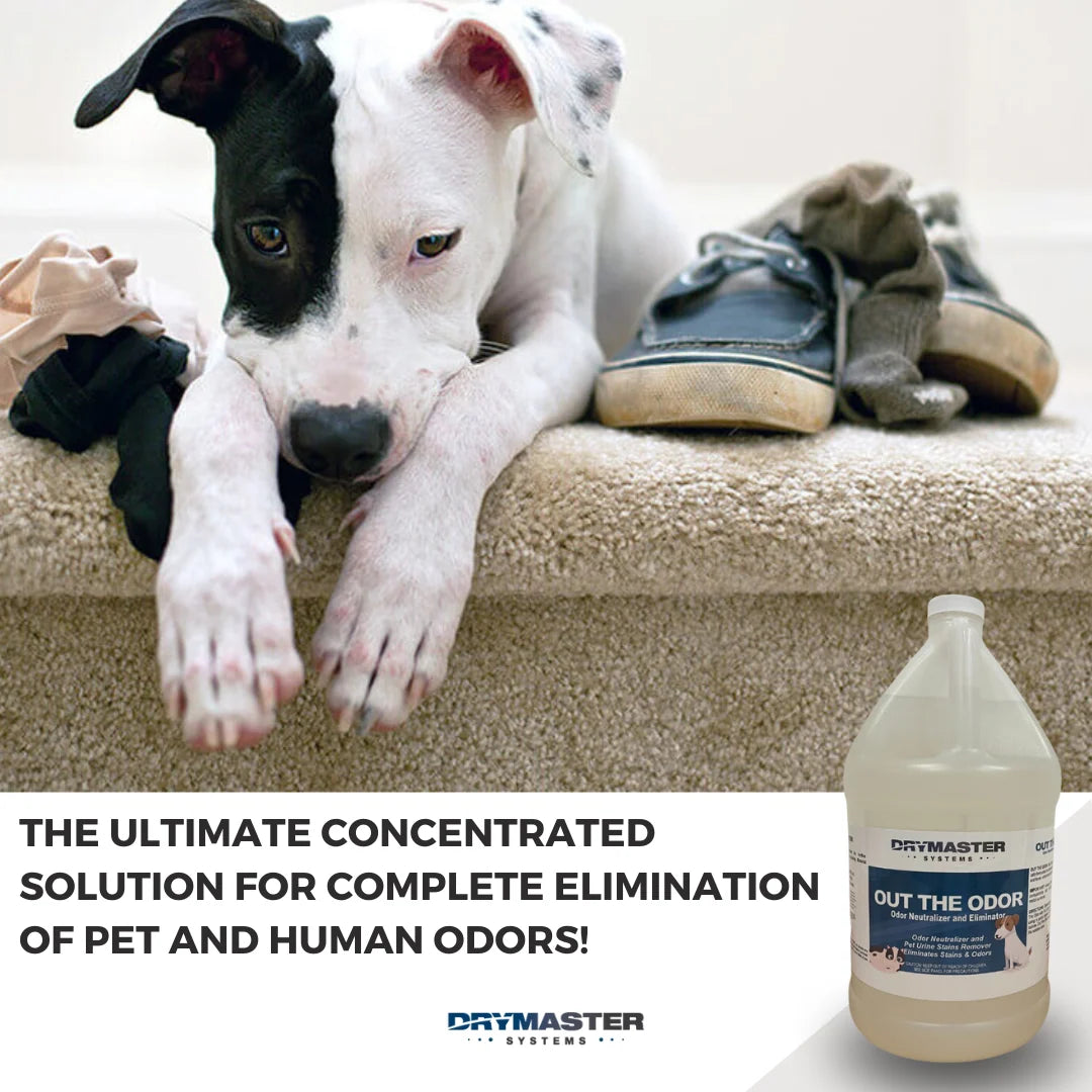 Out The Odor (Odor Control) - Pet Urine Stain & Odor Eliminator