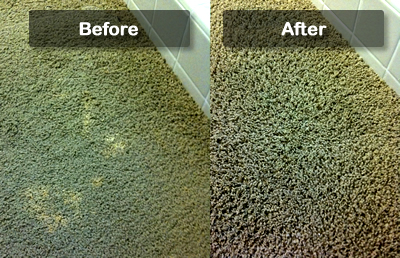 How To Dye Carpet